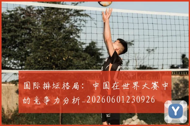 国际排坛格局:中国在世界大赛中的竞争力分析_20260601230926